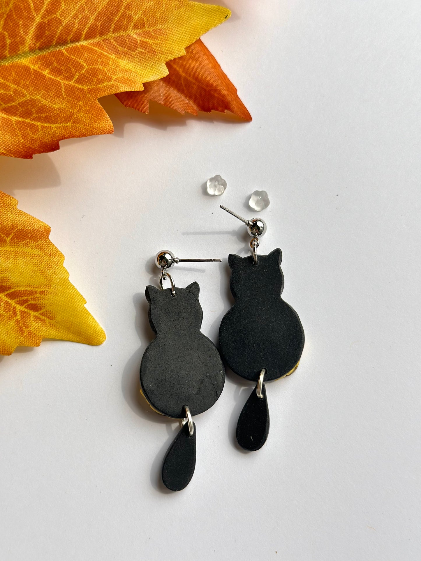 black cats