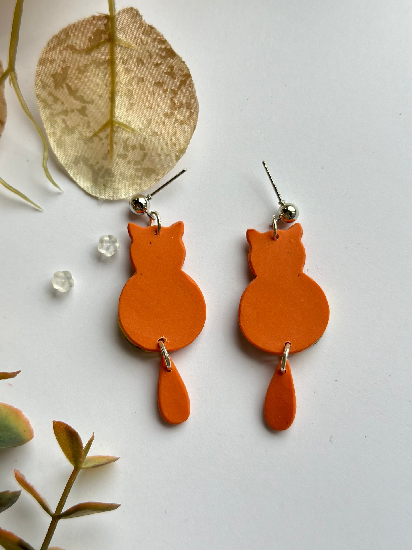 orange cats