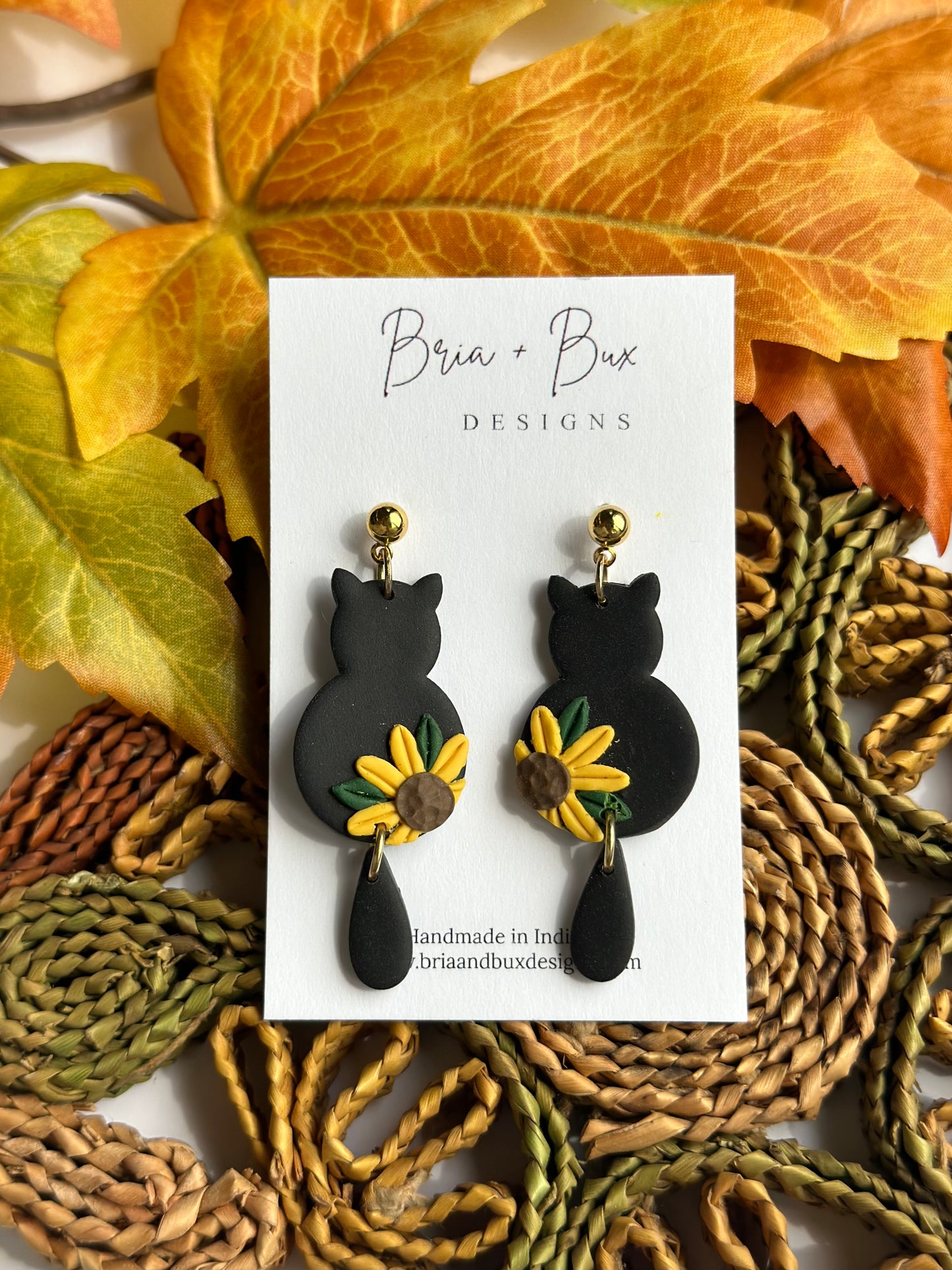 black cats